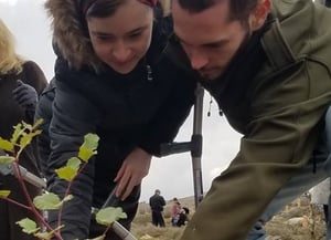 עמיחי ושירה נטעו עץ לזכר בנם הפעוט הי"ד