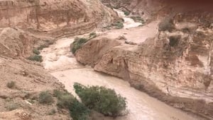 הגשמים הסוערים: צפו בזרימה בנחל אוג