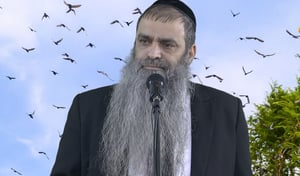 הרב רפאל זר בפינה לפרשת פקודי • צפו