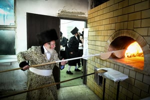 תיעוד: הרבי מקרעטשניף וחסידיו באפיית מצות