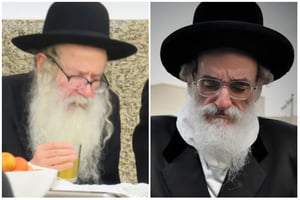 כ"ק האדמו"רים מויז'נית ומאמשינוב