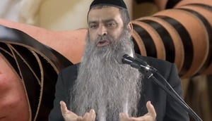 הרב רפאל זר בפינה לפרשת בהר • צפו