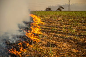 שריפות בעוטף; בעזה תיעדו שיגור הבלונים