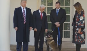 טראמפ נתן מדליה לכלב בלי לגעת בו בידיו