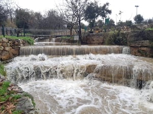 גשמי ברכה • צפו בזרימה החזקה בנחלים