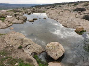 בריכות החורף בדרום התמלאו מים • תיעוד