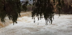 צפו: זרימה חזקה בנהר הירדן - ברקע החרמון