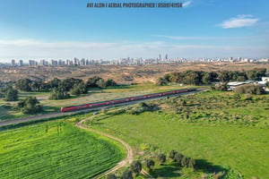 צפו: העיר הפלישתית העתיקה מכוסה ירוק