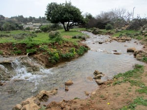נחל פרוד ביום שישי