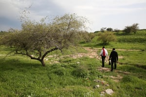 ליד חורבת חבקוק בצפון