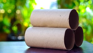 5 שימושים מפתיעים לגלילים של נייר טואלט ונייר מגבת