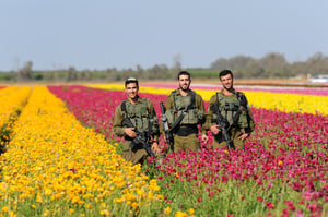 שדה פרחים בקיבוץ ניר יצחק