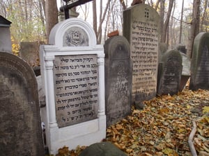 תמונת קברו של המהרא"ל צינץ