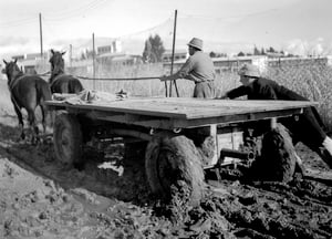 חקלאים, 1938