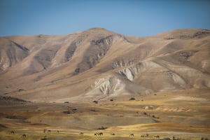 עמק הירדן