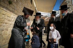 במירון: המשפיע רבי מיילך בידרמן  ערך 'חלאקה' לנכדו