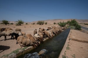 מזג אוויר מפתיע: ירידה בטמפרטורות וסיכוי לגשם
