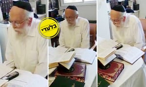 הגר"ב אלישיב מגלה: מה אביו היה אומר על נגיף הקורונה?