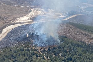 שריפת יער בסמוך למחסום תרקומיא • צפו