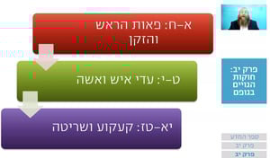 שיעור הרמב"ם היומי