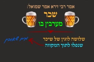 הדף היומי: מסכת עירובין, דף כ"ט • סיכום והמחשה