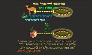 הדף היומי: מסכת עירובין, דף מ' • סיכום והמחשה