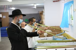 מתפללים בגינה, וקונים ד' מינים עם מסכה