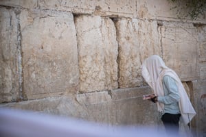 מנייני חצרות ב'קורונה': כיצד יכרעו במוסף?