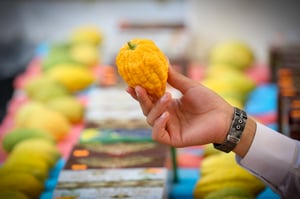 היאך חז"ל הוציאו ממון רב על ארבעת המינים?