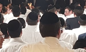 בחורי 'תפרח'. אילוסטרציה
