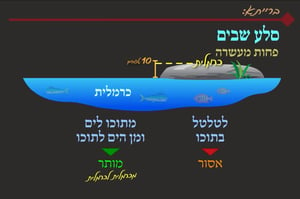 הדף היומי: מסכת עירובין, דף ס"ז • סיכום והמחשה