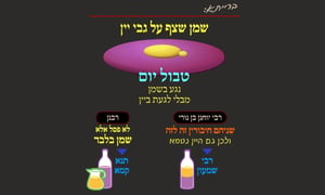 הדף היומי: מסכת עירובין, דף ע"א • סיכום והמחשה