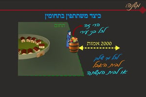 הדף היומי: מסכת עירובין, דף פ"ב • סיכום והמחשה