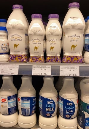 חלב פרה וחלב גמל נמכרים ביחד ברשתות