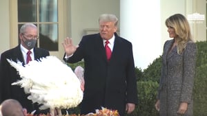 טראמפ "חונן" תרנגול הודו בטקס המסורתי בבית הלבן