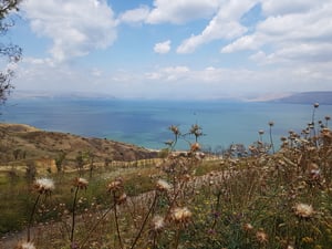 התחזית: מעונן חלקית. ביום שבת: גשמים
