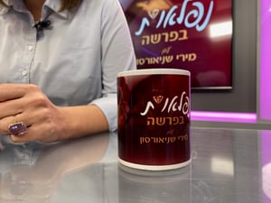 "כל אדם מצליח שאנו רואים, חטף כמה בומבות בחיים"