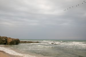 התחזית: גשם קל בתענית אסתר ובפורים