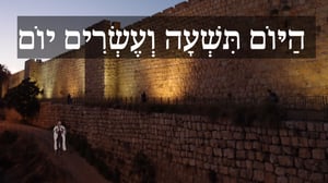 הַיּוֹם תשעה וְעֶשְׂרִים יוֹם: לייזר ברוק סופר בשירה