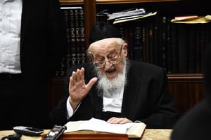 ראש הישיבה הגאון רבי מאיר צבי ברגמן