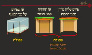 סוכה י' • סיכום והמחשה של הדף היומי