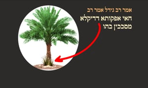 סוכה י"ג • סיכום והמחשה של הדף היומי