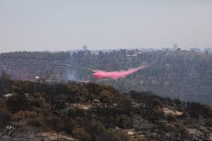 25 אלף דונם נשרפו באש; ישראל לא תצטרך סיוע בינלאומי