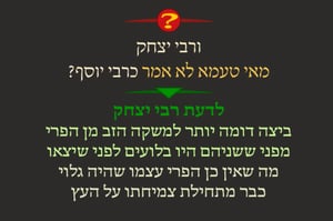 ביצה ג' • סיכום והמחשה של הדף היומי