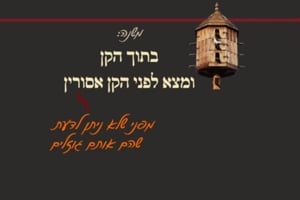 ביצה י"א • סיכום והמחשה של הדף היומי