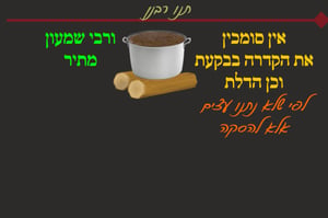 ביצה ל"ג • סיכום והמחשה של הדף היומי