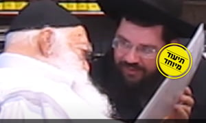 פסק הגר"ח קנייבסקי: האם מותר ללמד ילדים אותיות בשבת?