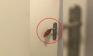 תושב חריש הניח רגל חזיר על דלת בית - ונעצר