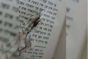 ספר ה'ליקוטי שיחות' של אלי הי"ד