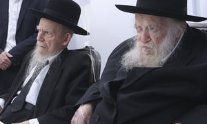 מרנן הגר"ח קנייבסקי והגר"ג אדלשטיין